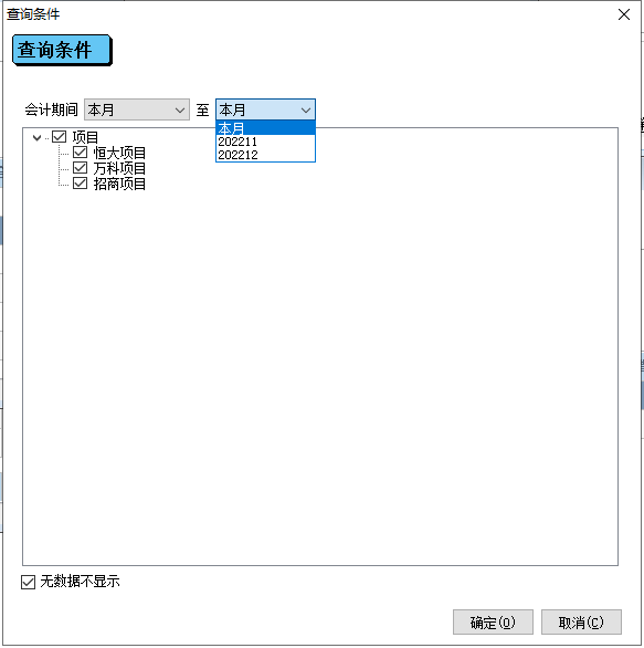 项目损益表查询条件