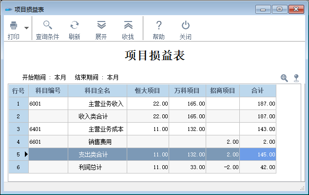 项目损益表